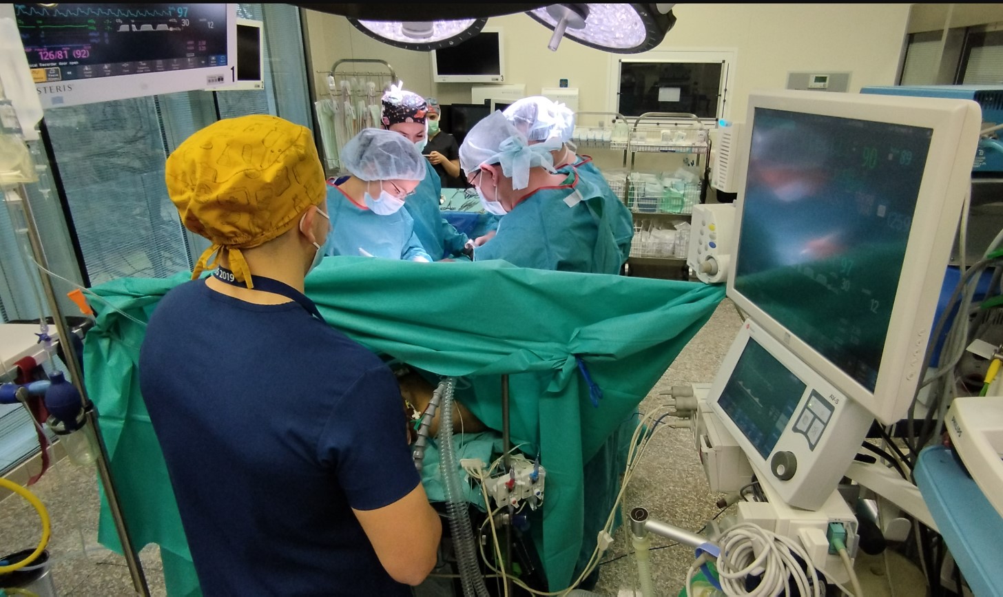 За 12 дни в болница „Лозенец“ бяха извършени 4 успешни бъбречни трансплантации