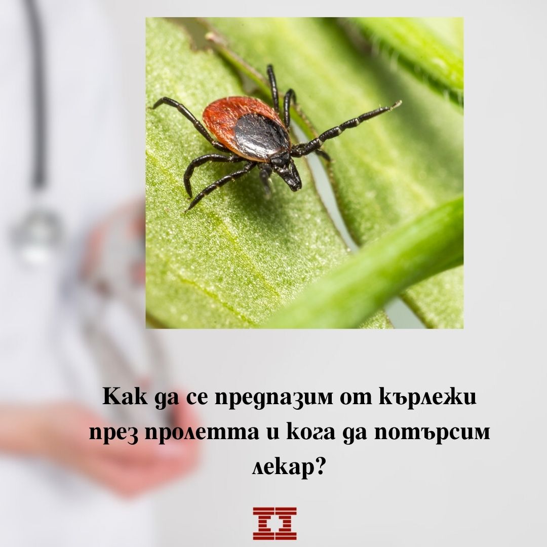 Как да се предпазим от кърлежи през пролетта и кога да потърсим лекар?