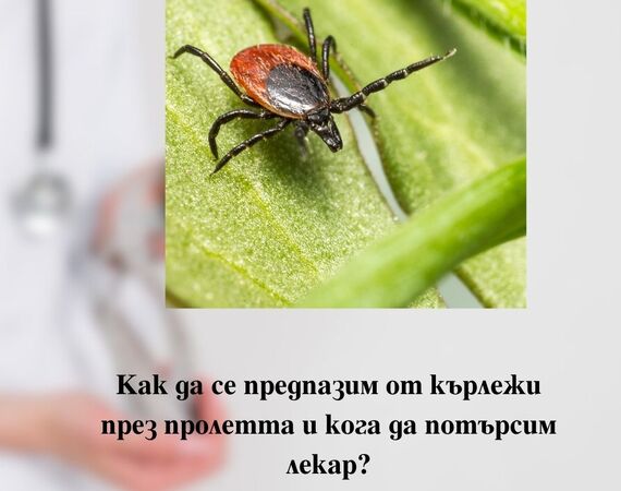Как да се предпазим от кърлежи през пролетта и кога да потърсим лекар?
