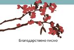 Пациентка с благодарност към екипа на хирургията в УМБАЛ „Лозенец“