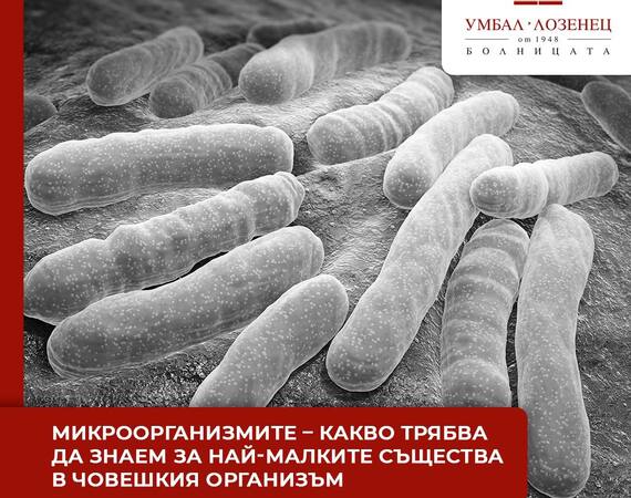 Микроорганизмите – какво трябва да знаем за най-малките същества в човешкия организъм